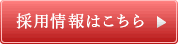 Web限定商品販売